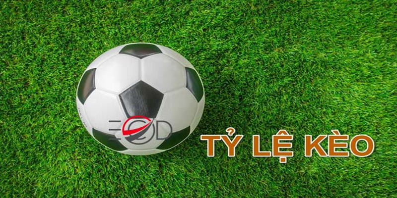 Học hỏi kinh nghiệm của các dân chơi cá cược bóng đá chuyên nghiệp là điều quan trọng